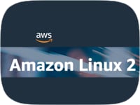 Amazon Linux Moves Beyond the Cloud to On-Premises Deployments ...