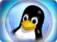 Linux 3.9 Kernel